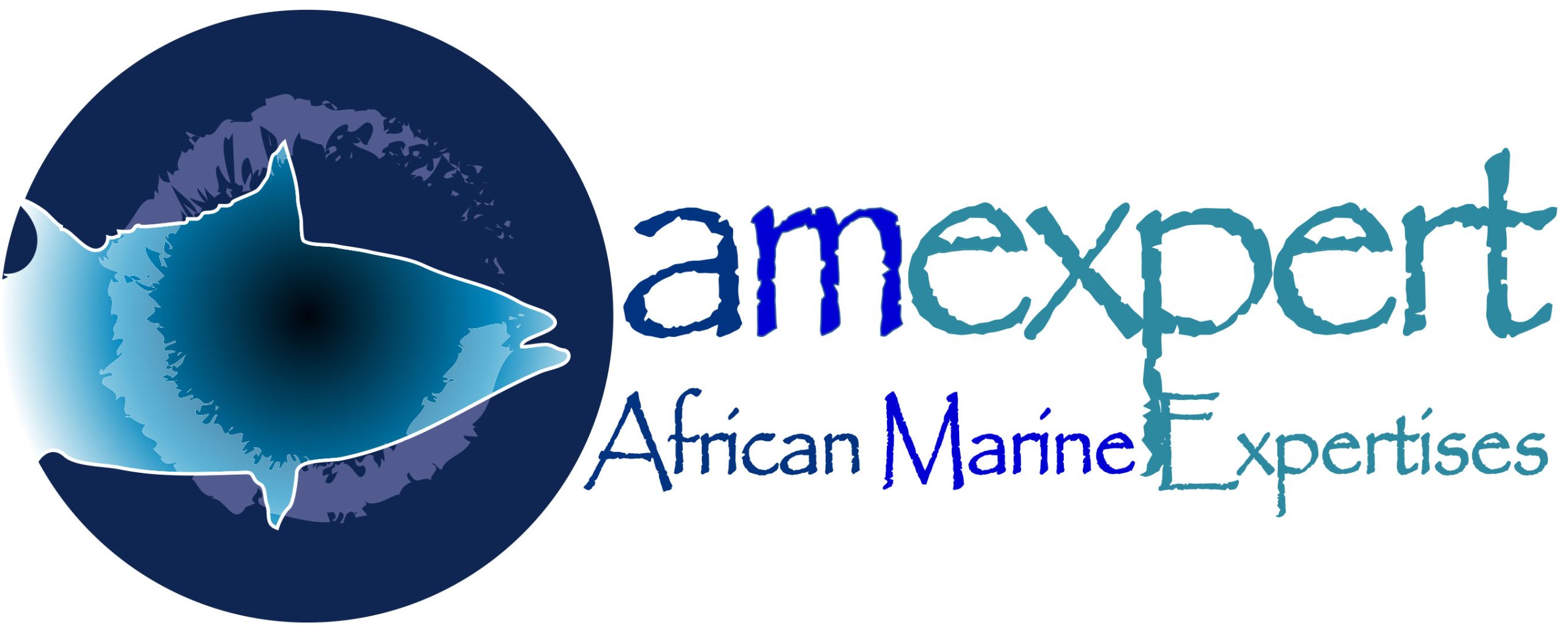 African Marine Expertises